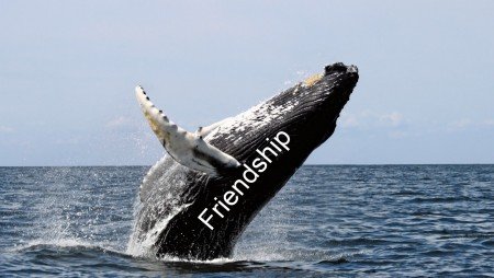 breach of friendship