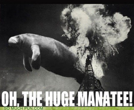 thehugemanatee